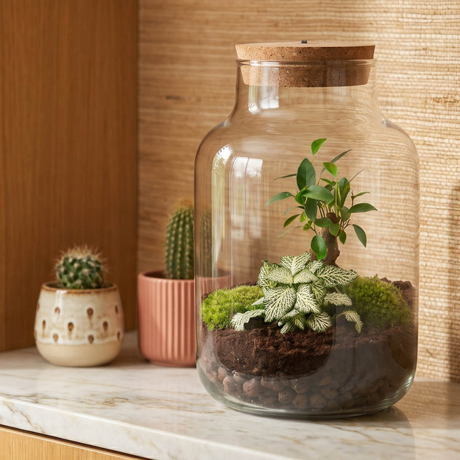 Little Milky - Bonsai - Flaschengarten mit Licht - DIY Terrarium mit Pflanzen im Glas - Ø 17 cm ↑ 25 cm
