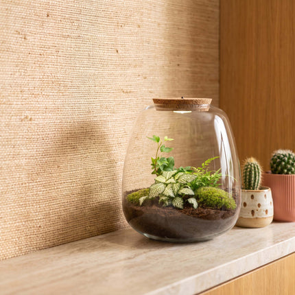 Emma - Hedera White - Flaschengarten mit Licht - DIY Terrarium mit Pflanzen im Glas - Ø 23 cm ↑ 25 cm