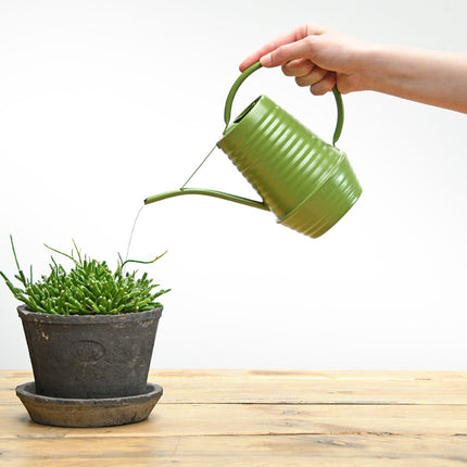 Green indoor watering can - 19 cm high