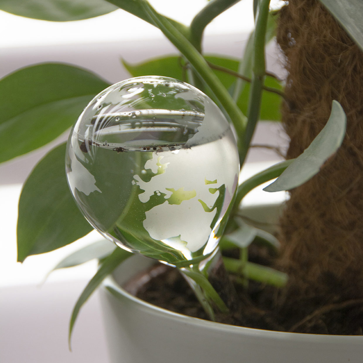 glass globe plant waterers Plant waterer bulb