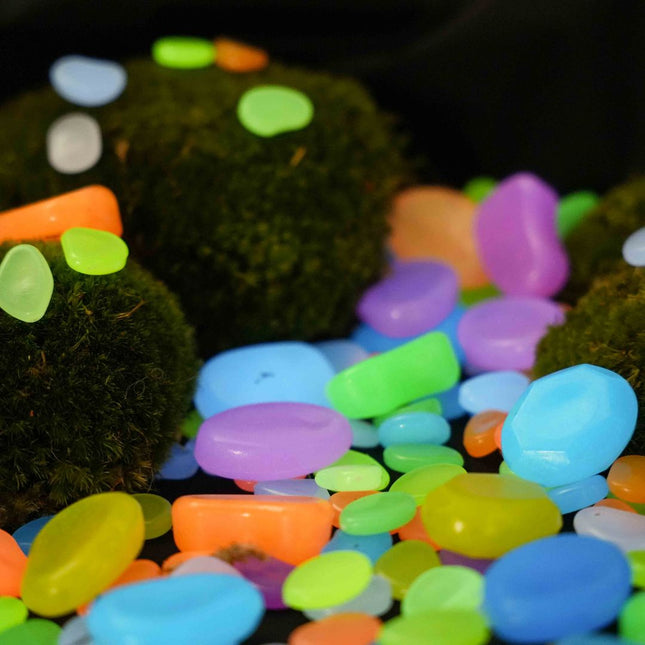 Glow Stones Medium - Glow in the dark - Terrarium decoratie - Aquarium decoratie - Multicolor - 12 stuks - 3-5 cm