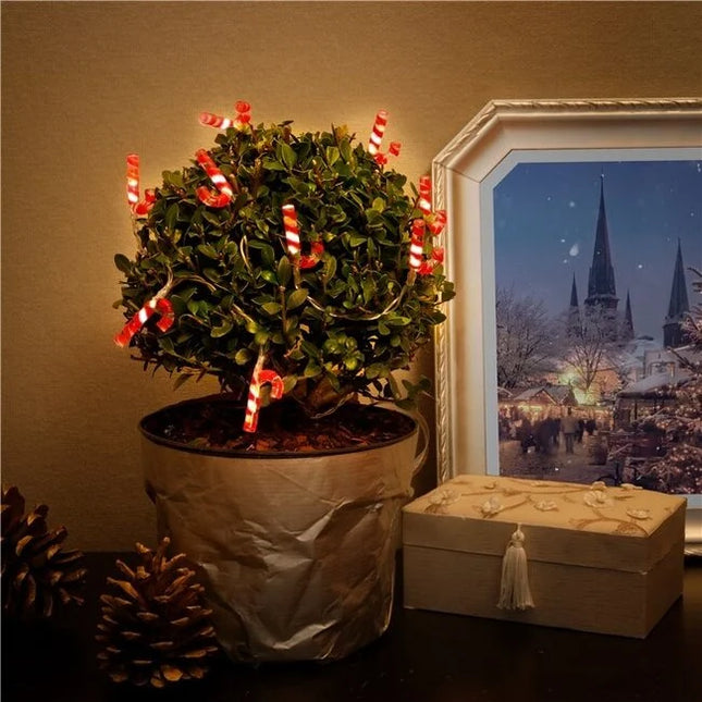 Lichterkette „Candy Canes“ mit 10 LEDs