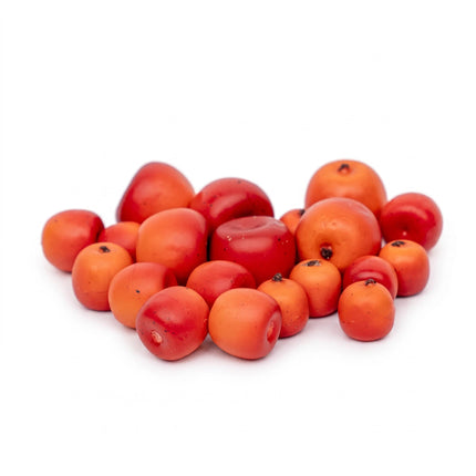 Apfel Malus - 20 Stück - 3 Größen - Kunststoff - Rot - Orange