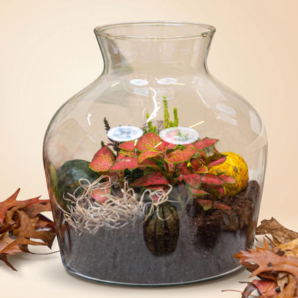 Little Joe Autumn – Glasflasche mit Herbstpflanzen und Mini-Kürbissen – Herbst-Flaschengarten DIY-Set – Ø 20 cm ↑ 22 cm
