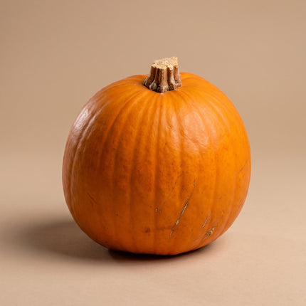Halloween pompoen - Oranje - Echt - Ø ca. 19 cm - ca. 1,9 kg