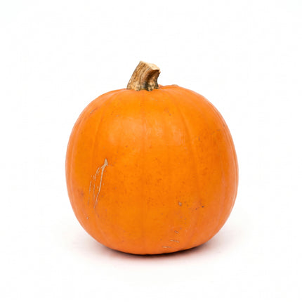 Halloween pompoen - Oranje - Echt - Ø ca. 16 cm - ca. 1,4 kg