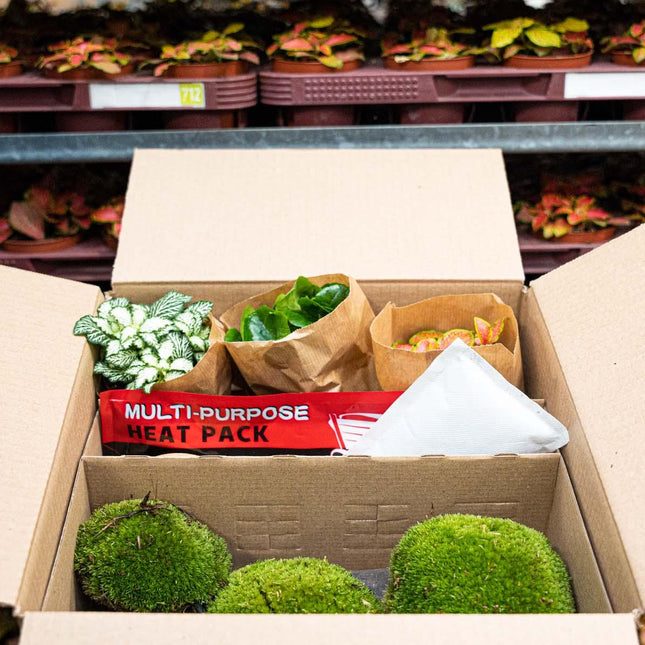 [WINTER TIP] Add Heat pack 72 hrs