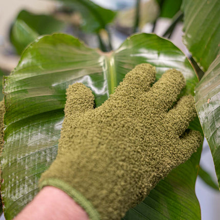 Planten afstof handschoenen groen - Microvezel 