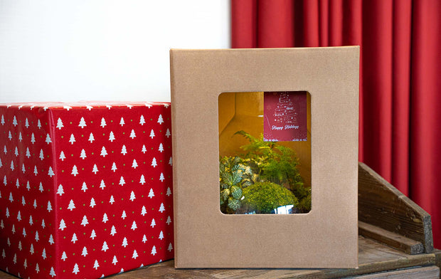 Christmas package and gifts