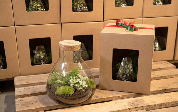 Everyone deserves a special gift