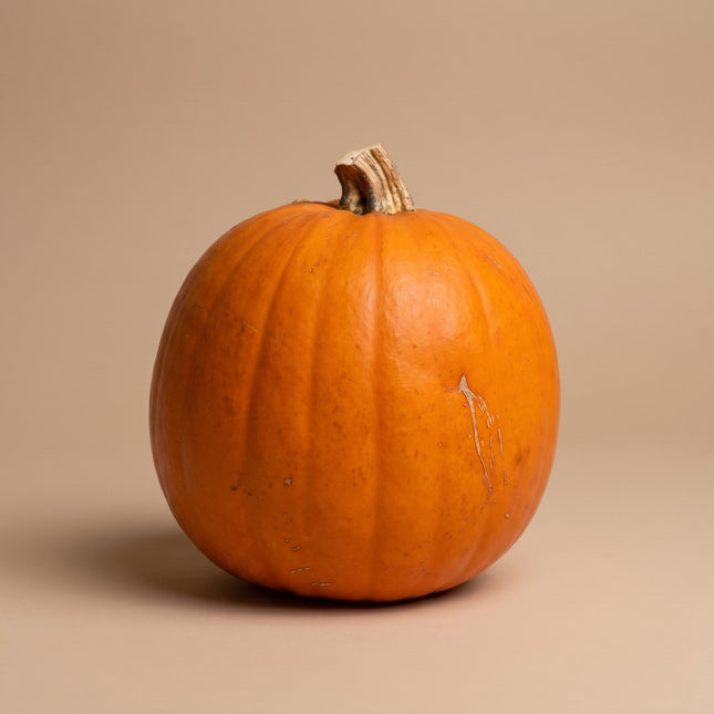 Halloween pompoen - Oranje - Echt - Ø ca. 16 cm - ca. 1,4 kg