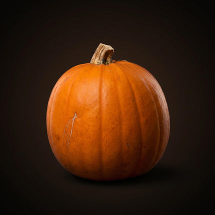 Halloween pompoen - Oranje - Echt - Ø ca. 16 cm - ca. 1,4 kg