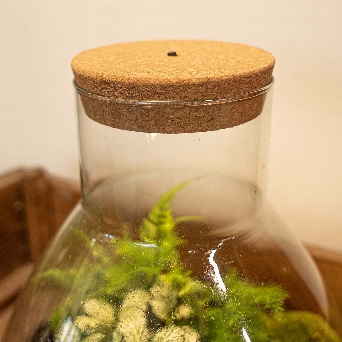 LED-Terrarium-Korken - Flaschengarten