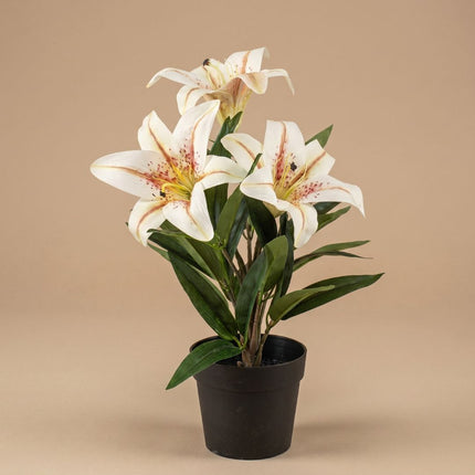 Lilie im Topf - Creme - Kunstpflanze - ↑ 33 cm
