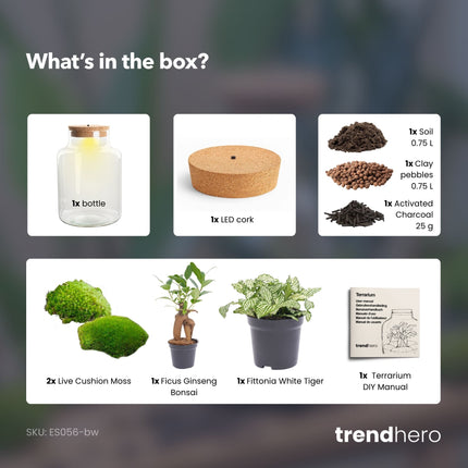 Little Milky - Terrarium with light - Bottle garden DIY kit - Ø 17 cm ↑ 25 cm