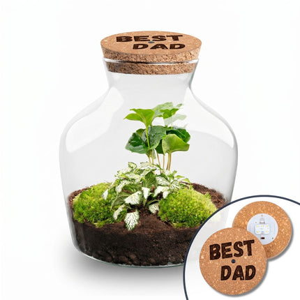 Vaderdag terrarium Little Joe + gepersonaliseerde gegraveerde kurk met verlichting - Flessentuin DIY kit - Ø 20 cm ↑ 22 cm