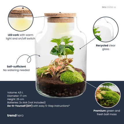Little Milky - Terrarium with light - Bottle garden DIY kit - Ø 17 cm ↑ 25 cm