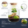Little Milky - Planten Terrarium met licht - DIY kit - Ecosysteem plant - Ø 17 cm ↑ 25 cm
