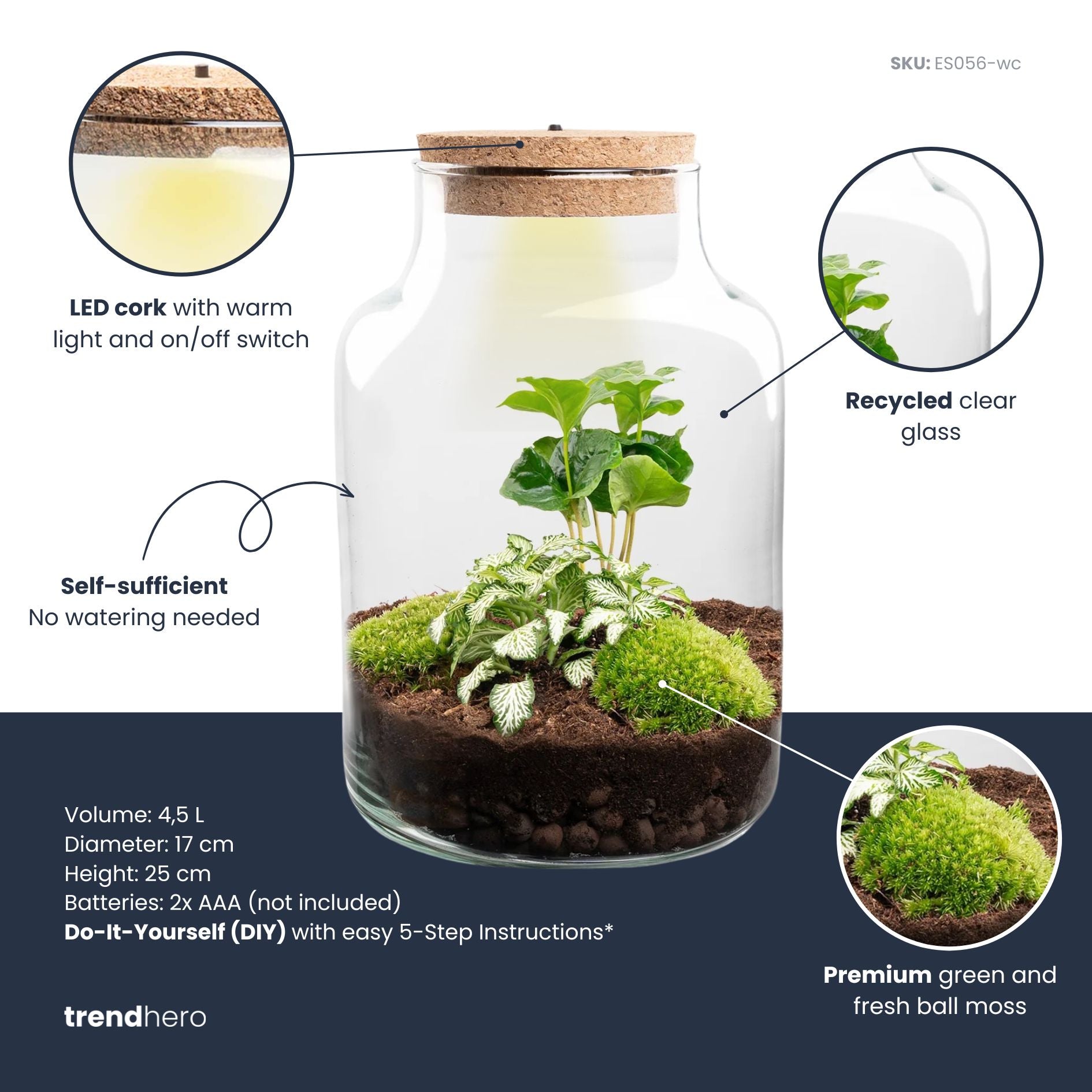 plant terrarium with grow light DIY Terrarium Kit with light