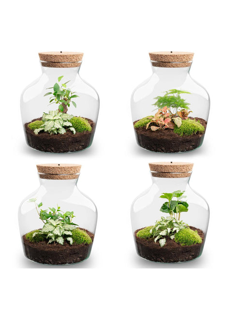 Terrarium DIY Kit with LED lightning - Little Joe - Bottle Garden - ↑ 21.5 cm