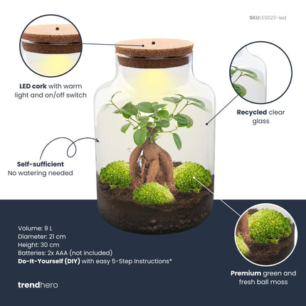 Milky bonsai - Planten Terrarium met licht - DIY kit - Ecosysteem plant - Ø 21 cm ↑ 30 cm