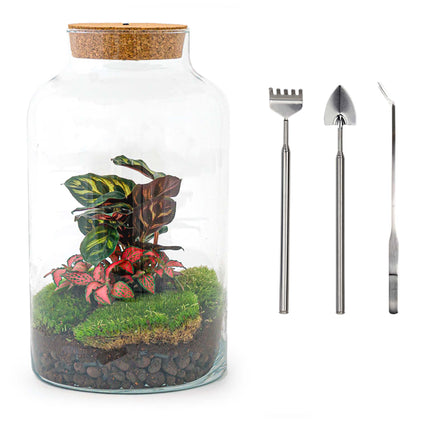 Plant terrarium- DIY kit - Milky Calathea with light - Bottle garden with plants - ↑ 31 cm
