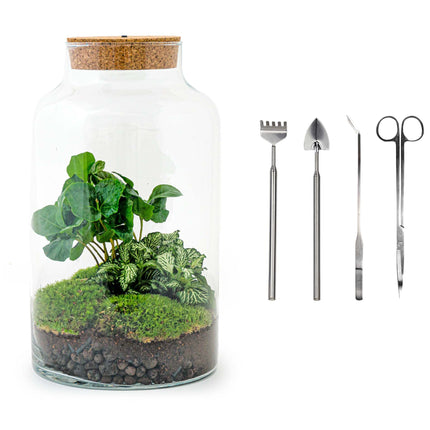 Terrarium DIY Kit - Milky Coffea with Light - Bottle Garden - ↑ 31 cm
