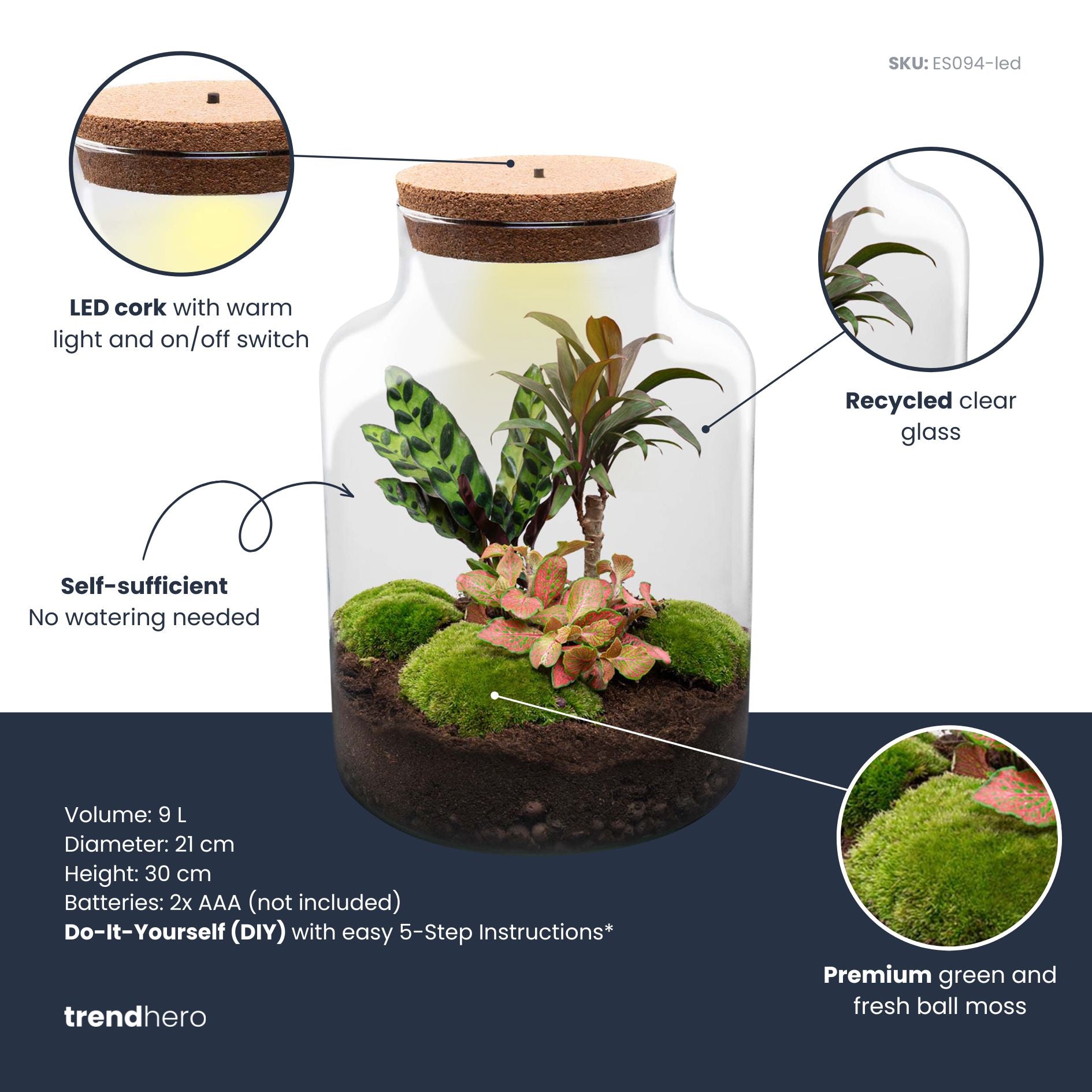 high light terrarium plants DIY Terrarium Kit - Create your own mini Ecosystem
