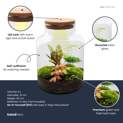 Milky - Planten Terrarium met licht - DIY kit - Ecosysteem plant - Ø 21 cm ↑ 30 cm