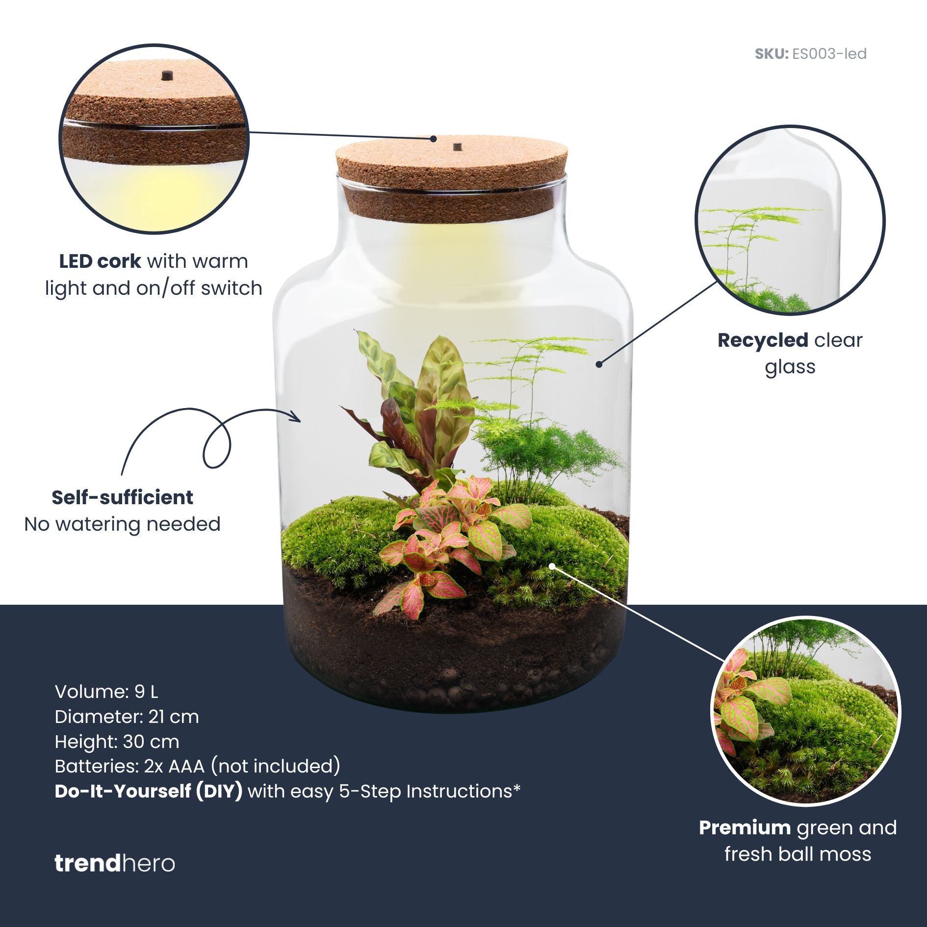 moss plant terrarium DIY Terrarium Kit - Create your own mini Ecosystem
