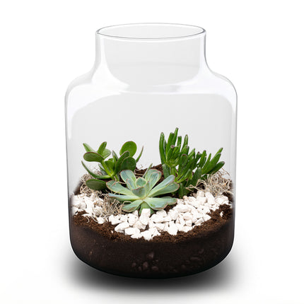 Milky Succulent - Open terrarium - Bottle garden DIY kit - Ø 21 cm ↑ 30 cm