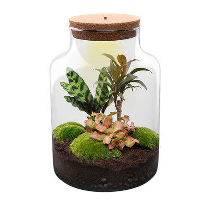 Flaschengarten - Milky - Pflanzen im Glas - Ø 21 cm ↑ 30 cm