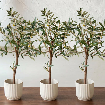 Mini Olive tree set - 3 pcs - Bundle product - Artificial plants