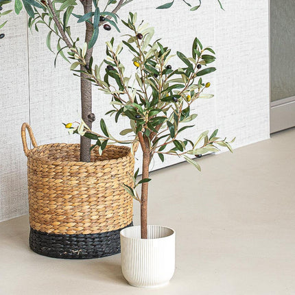 Mini Olive tree set - 3 pcs - Bundle product - Artificial plants