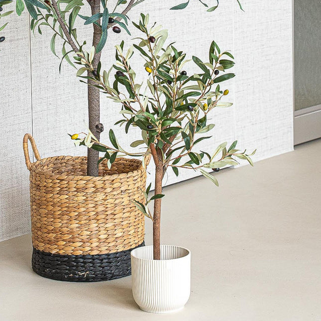 Mini Olivenbaum Set - 3 Stück - Bündelprodukt - Kunstpflanzen