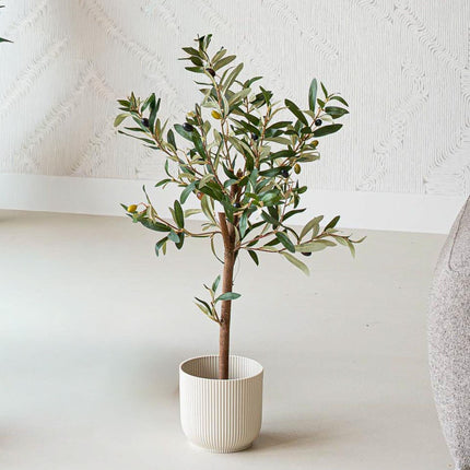 Mini Olive tree set - 3 pcs - Bundle product - Artificial plants