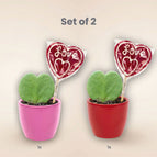 Set of 2 (pink & red)