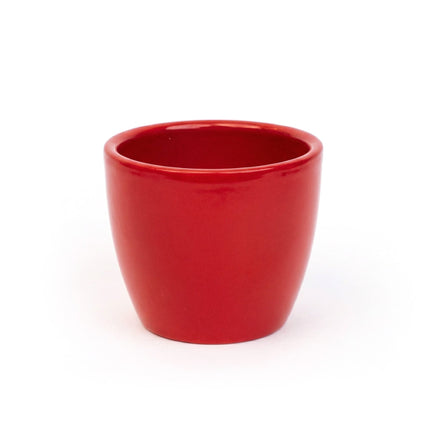 Mini Roter Blumentopf für Sukkulenten