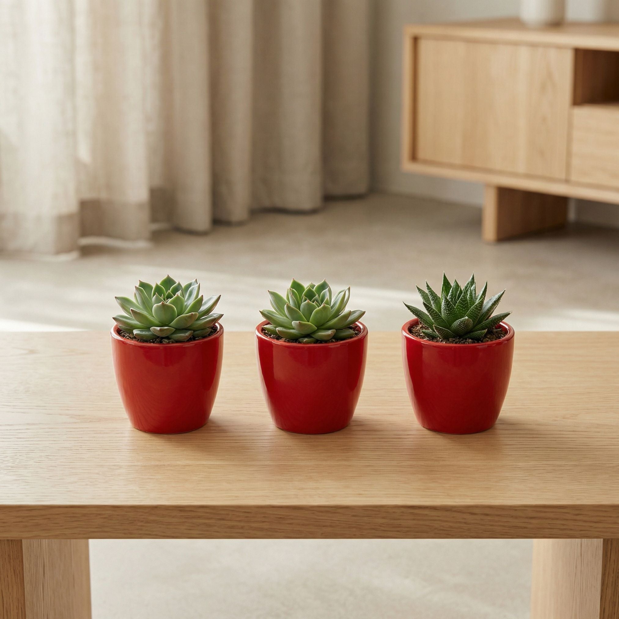 Mini Roter Blumentopf für Sukkulenten