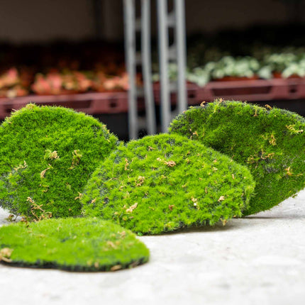 Mosplaat – Groen mos – Set van 4 – Kunstmos