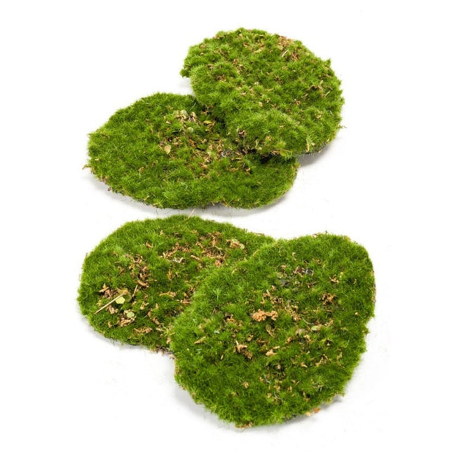 Moss Plate - Green moss  – Set of 4 - Artificial moss
