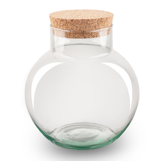 Terrarium bottle ‘Noah' with cork - Closed terrarium Ø 18.5 cm ↑ 19 cm