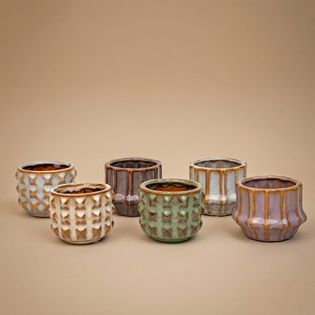 Succulenten Set van 6 in Keramische Mini Potjes San Juan -  ↑ 8–12 cm
