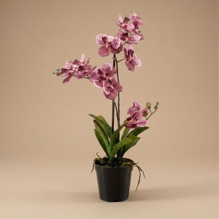 Orchidee Vanda kunstplant 60 cm - Oudroze - In pot