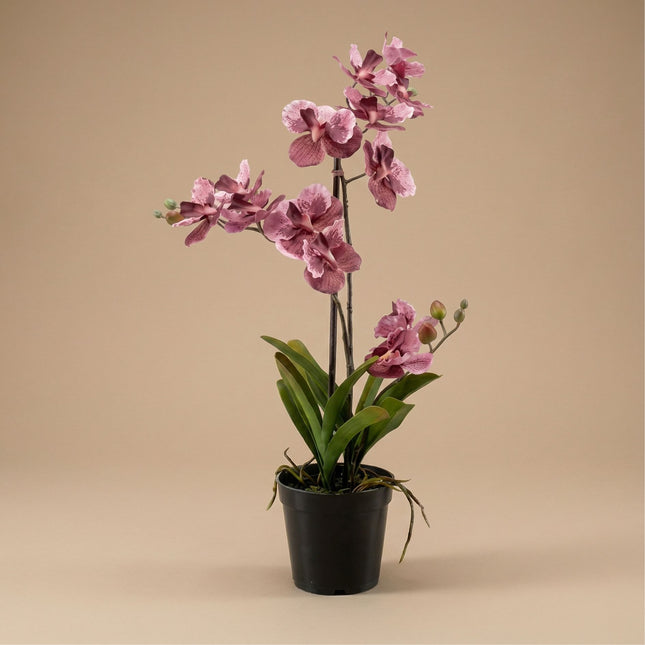 Orchidee Vanda kunstplant 60 cm - Oudroze - In pot