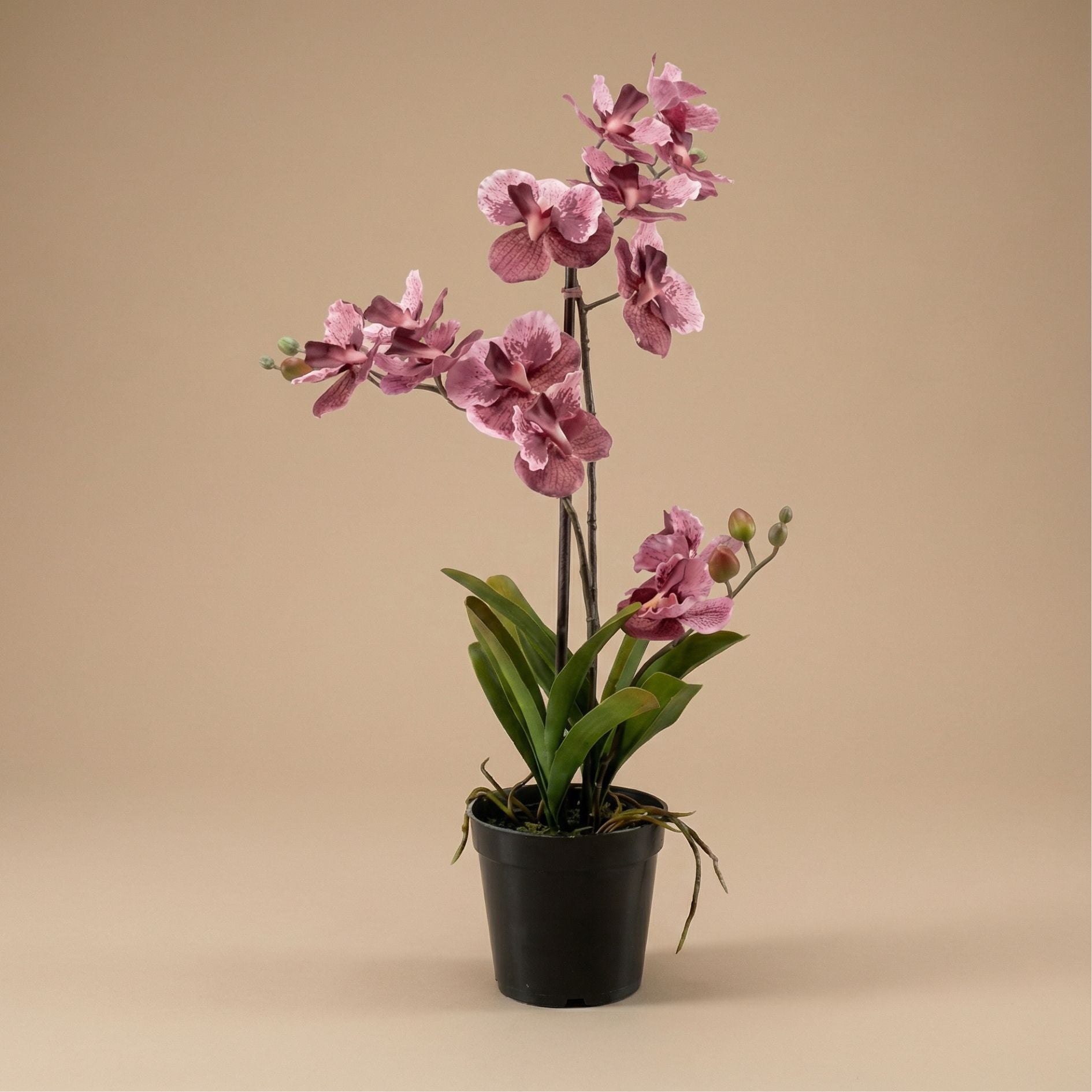 orchid plant pots for sale Artificial Orchid Vanda 60 cm - Old pink in pot