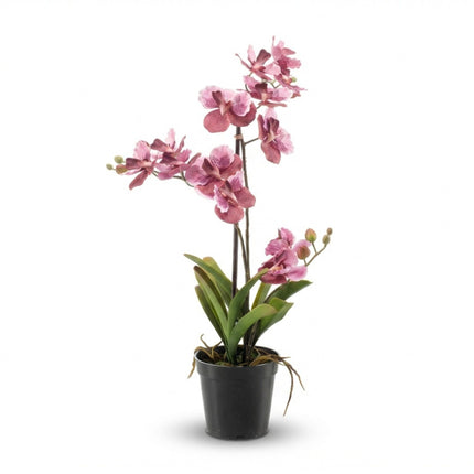 Orchidee Vanda kunstplant 60 cm - Oudroze - In pot