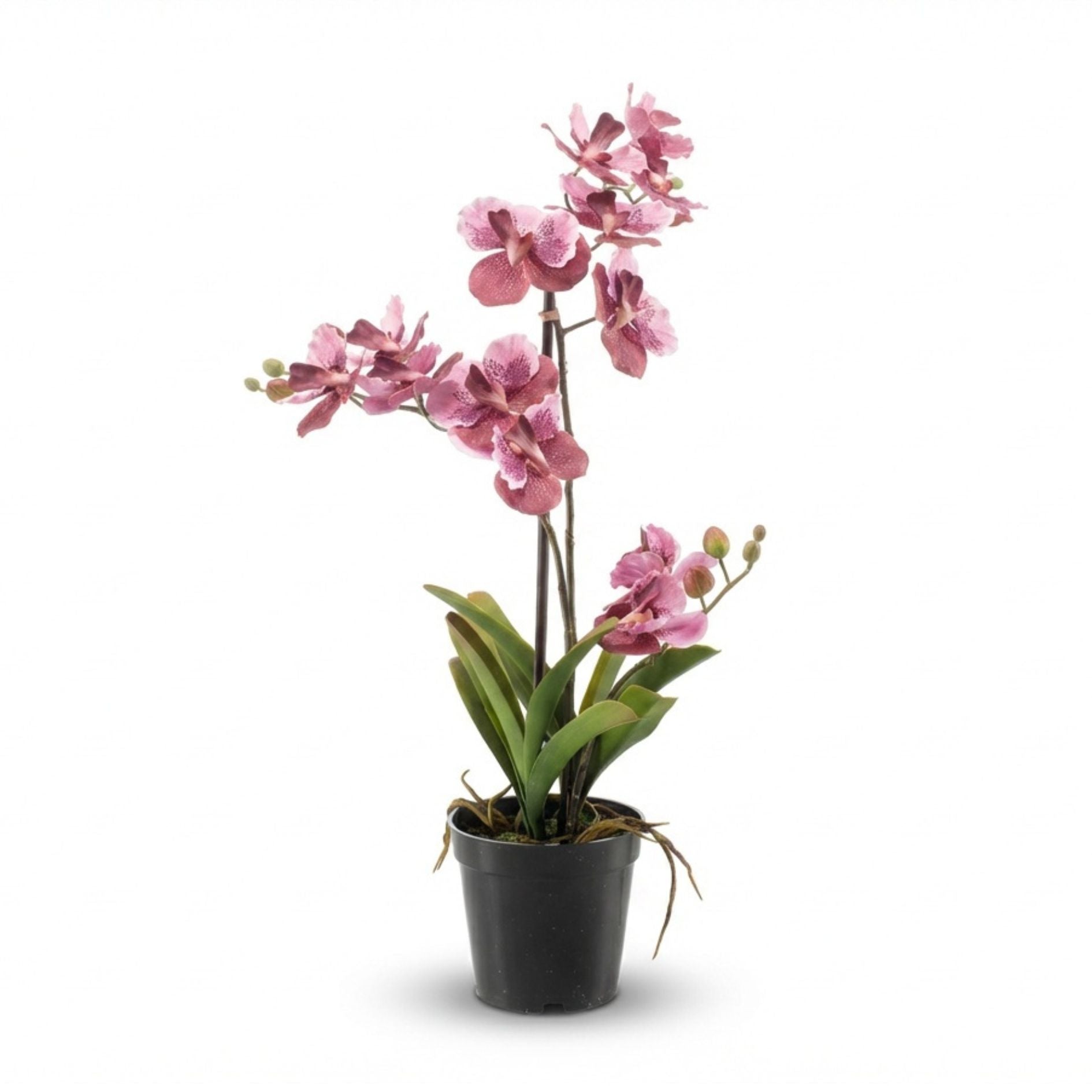 pink artificial plant in pot Artificial Orchid Vanda 60 cm - Old pink in pot