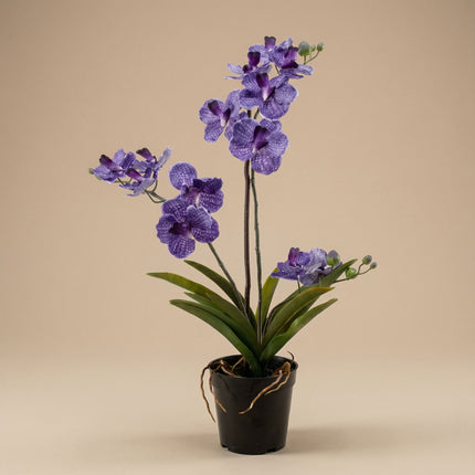 Orchidee Vanda kunstplant 60 cm - Paars - In pot