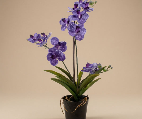 vanda orchid plants Artificial Orchid Vanda 60 cm - Purple in pot